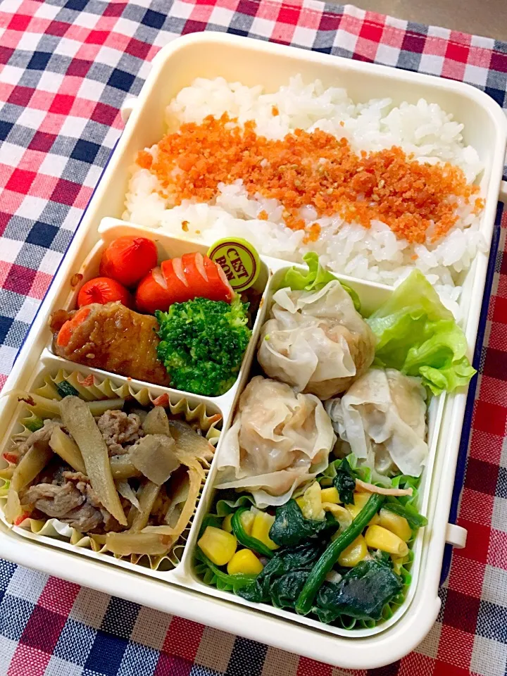 1/20お弁当|りょこさん