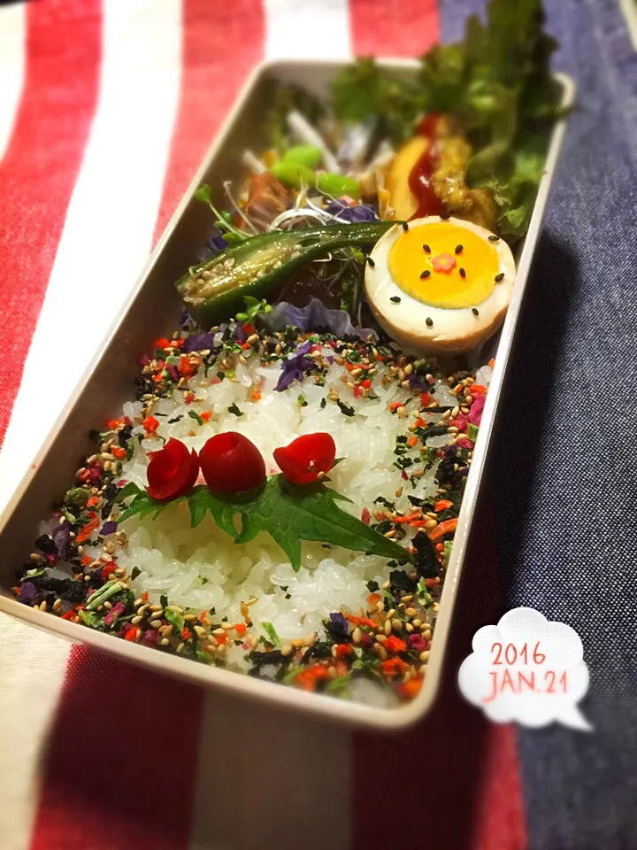 Snapdishの料理写真:お弁当〰🍱|まんぞーさん