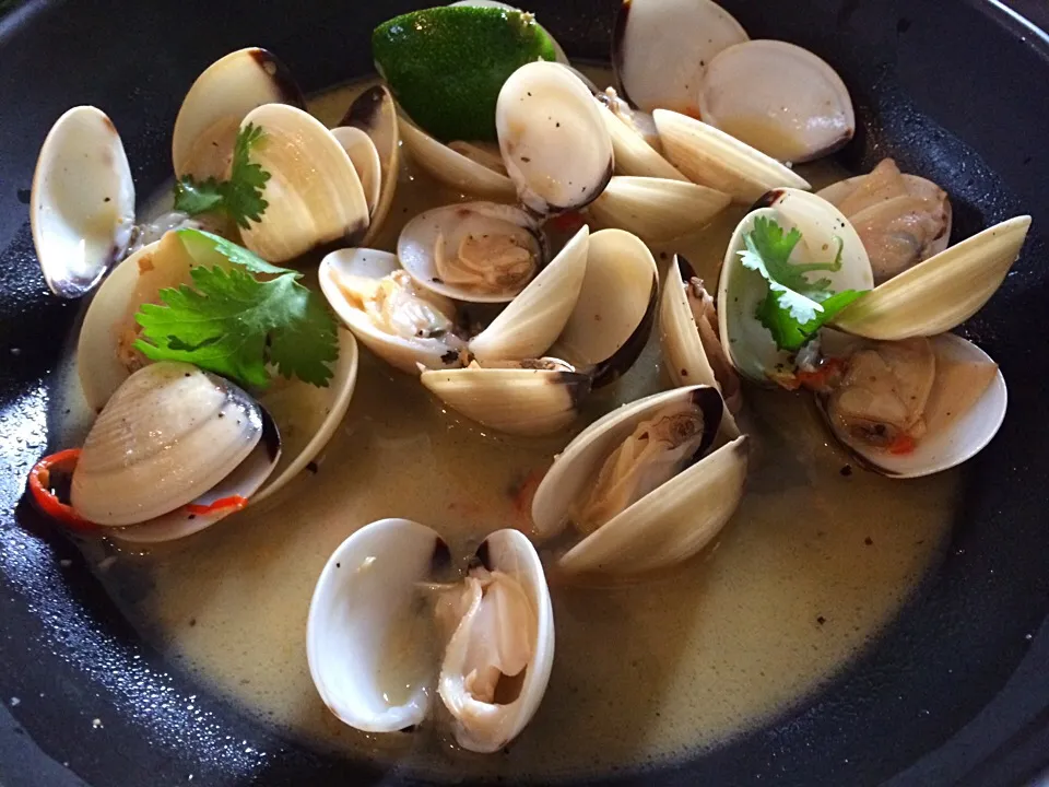 Vongole @ Creatures|Ong Sor Fernさん