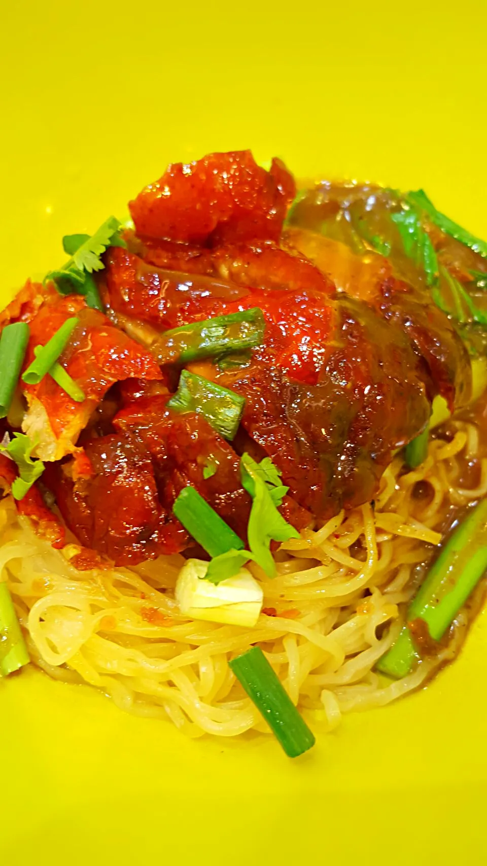 "บะหมี่เป็ดย่าง" 😋
(Roast duck noodle)
เต๋วเจียงก้อใช้ได้อยู่นะเนี่ย...👍|🙋🍗..Papa Naughty..🍳🙎さん