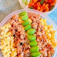 鶏そぼろ弁当|nahgomさん