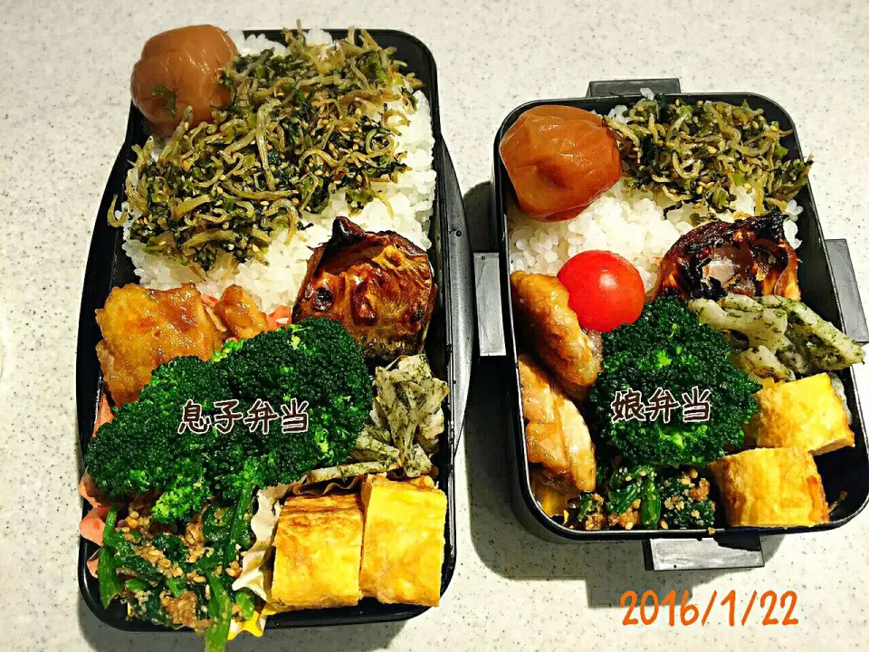 Snapdishの料理写真:今日の弁当🍱🍱|Kaoruさん