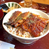 Snapdishの料理写真:溜まり醤油の香りが！パリパリ鰻丼