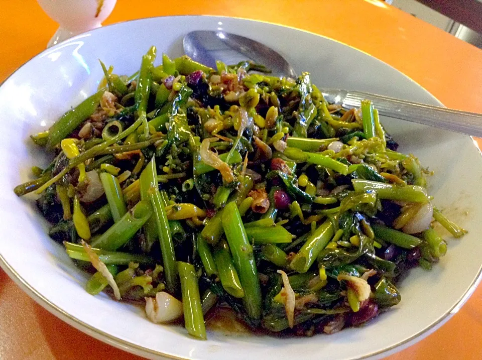 Kangkung Bunga Pepaya|Bambang Budiono Tjioさん