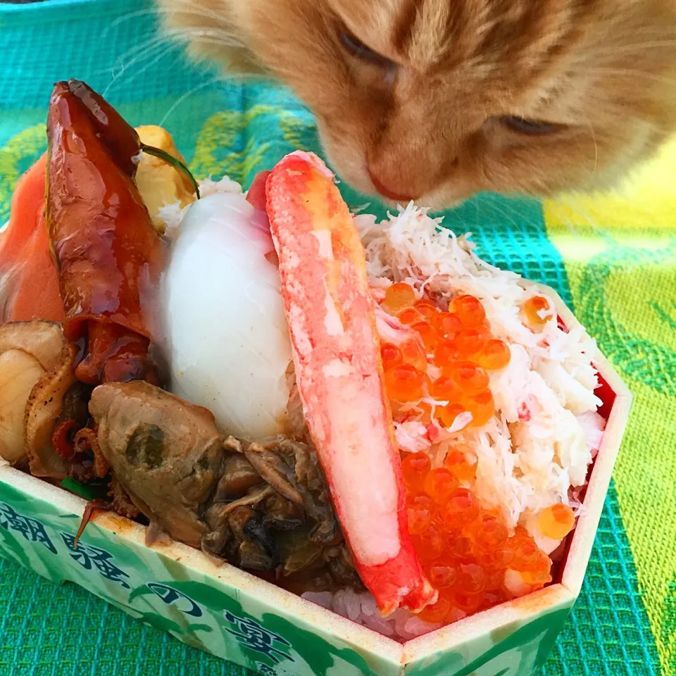 北海道物産展で買った海鮮丼♪ うみちゃーん、食べたらダメよー！|リュカさん