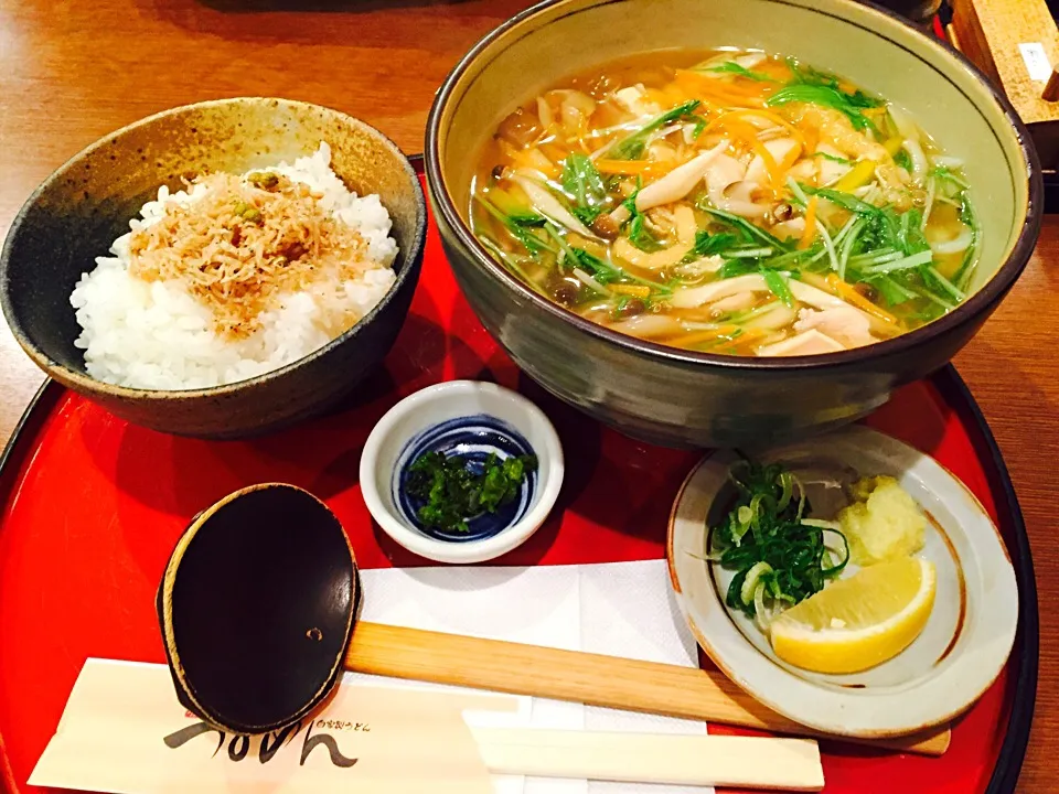 彩り餡かけうどんとちりめん山椒ご飯|和ははさん