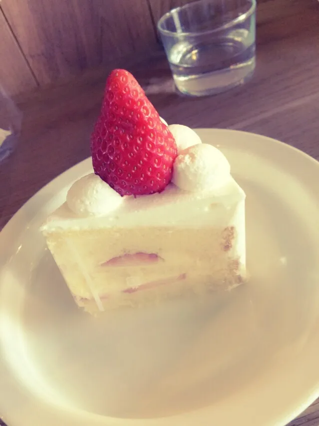 ショートケーキ( ˙ω˙ )|にゃんこ先生さん
