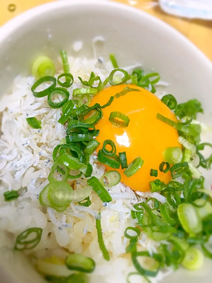 しらす丼！生卵入り！|sakiさん