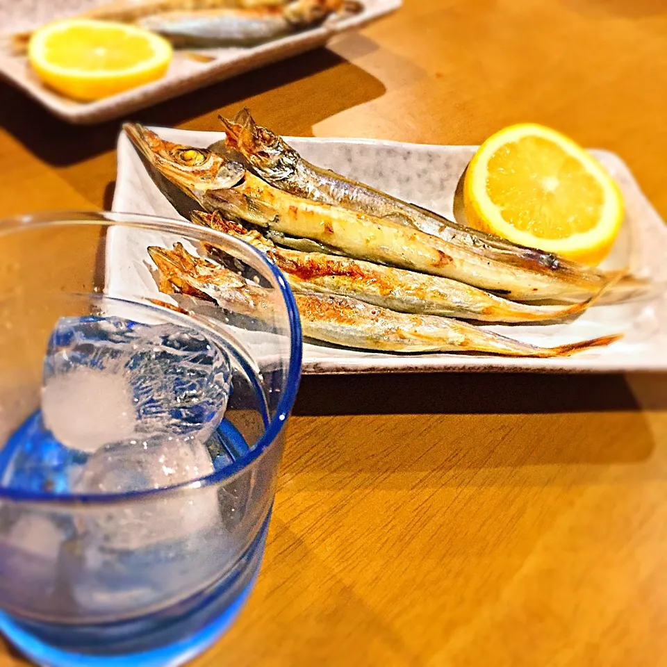 Snapdishの料理写真:昨夜の一酒一肴『焼酎ロック』と『ししゃもと沖うるめ』|ち〜おんさん