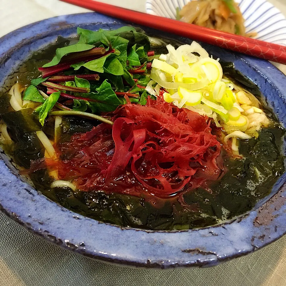 稲庭饂飩＿男鹿とろとろわかめ|シローさん