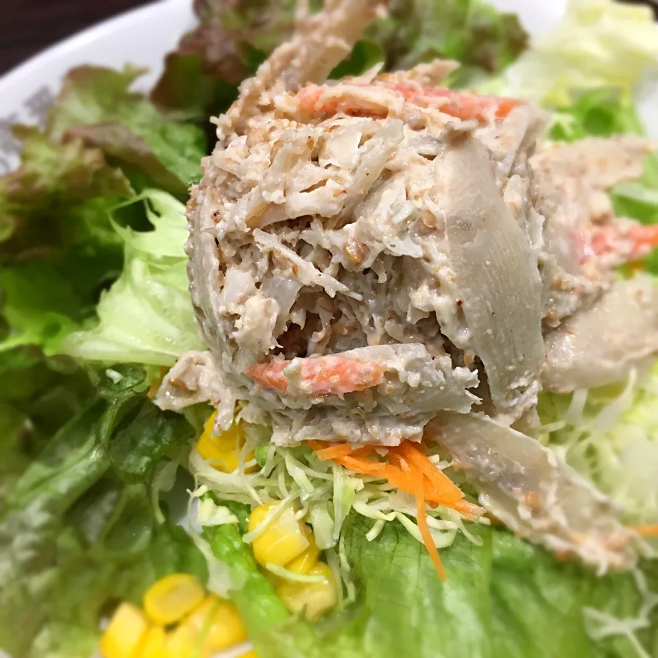 Snapdishの料理写真:Gobo salad|Johnnyさん