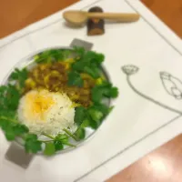 Snapdishの料理写真:ドライカレー|Thanh Tuさん