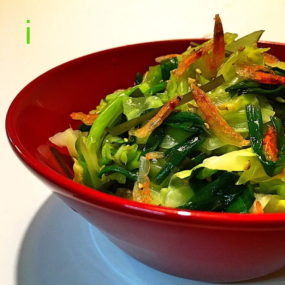 山本真希さんの料理 ちぎりキャベツの塩だれ和え✱ 【Boiled Cabbage Salad】|izoomさん