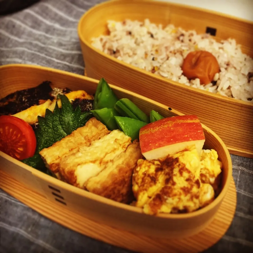 Snapdishの料理写真:今日のお弁当。鰆の西京焼き、厚揚げの山椒焼き、スナップえんどうの塩ゆで、ちょっと甘めの卵焼き、りんご。|Junさん