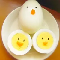 egg bird 👌👌👌👌|jaron altaresさん