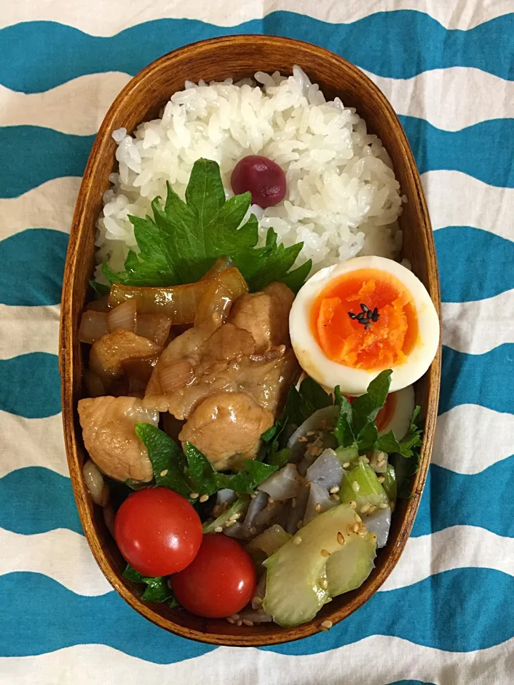 Snapdishの料理写真:女子高生弁当|yuganさん