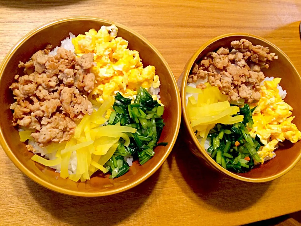 3色丼|pigmegさん