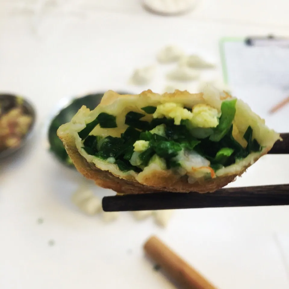 Snapdishの料理写真:Leek and Egg Fried Dumplings|Recipe Nomadさん