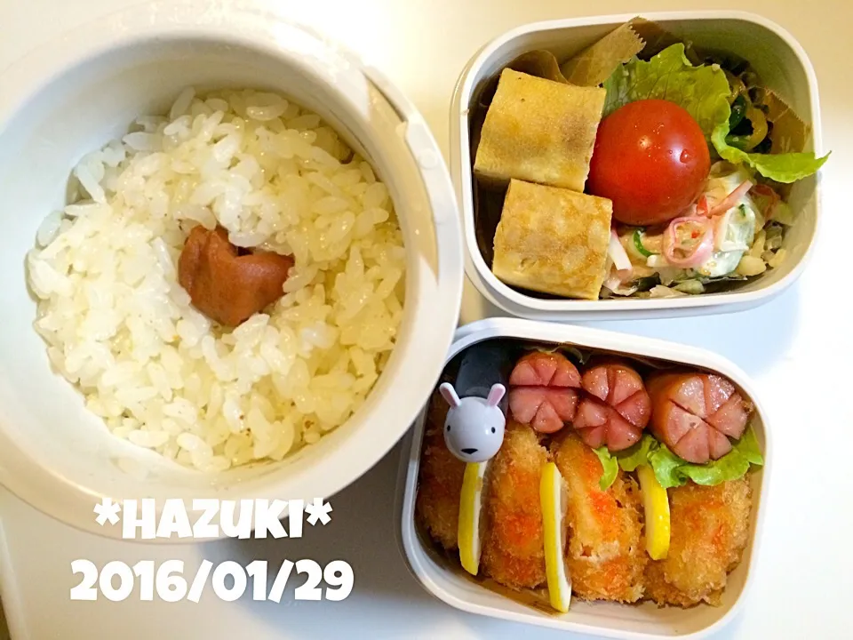 1月29日(金) 高校生息子弁当🍱🍱|Hazukiさん