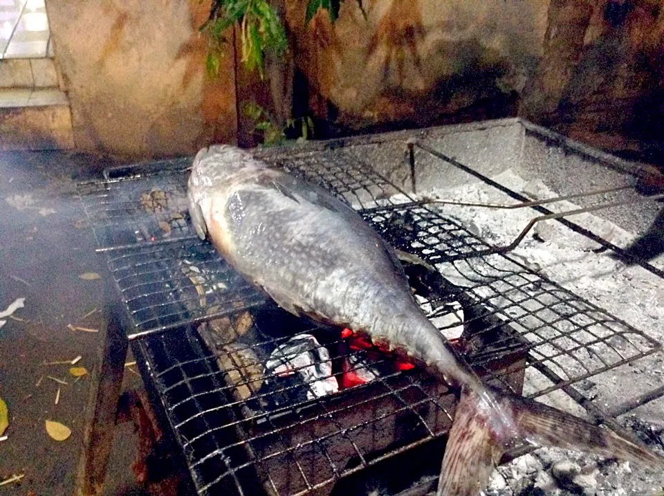 Tuna Bakar|Bambang Budiono Tjioさん