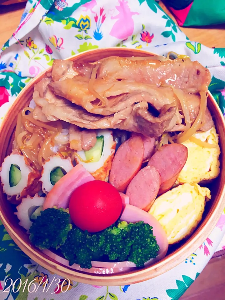 今日のお弁当◡̈⃝|shijuさん