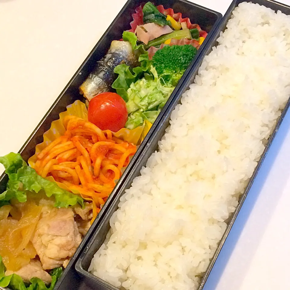 1/30お弁当|ci0nさん