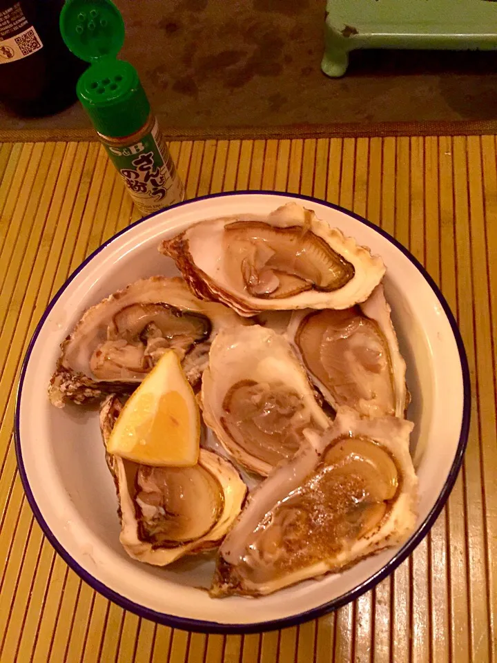 Oysters|Generaalさん