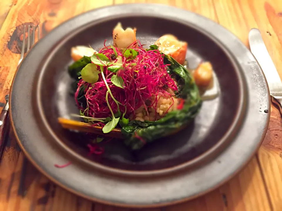 King prawns on lemon juiced risotto and red beet sprouts|MarcoBavariaさん