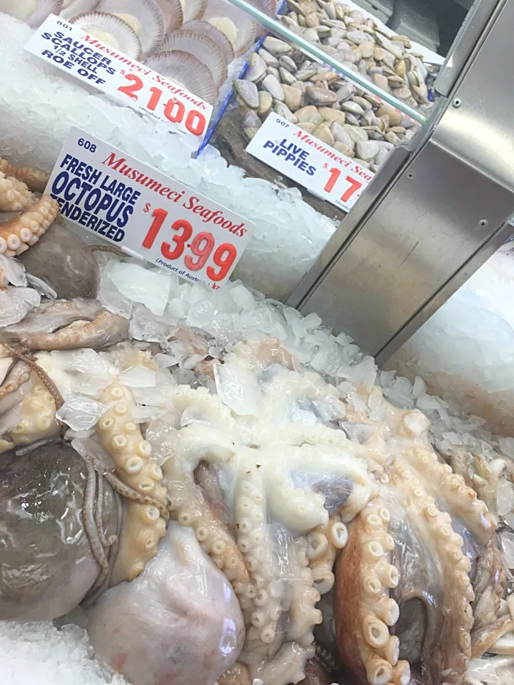 Snapdishの料理写真:Fish market /Sydney|vinayakaさん