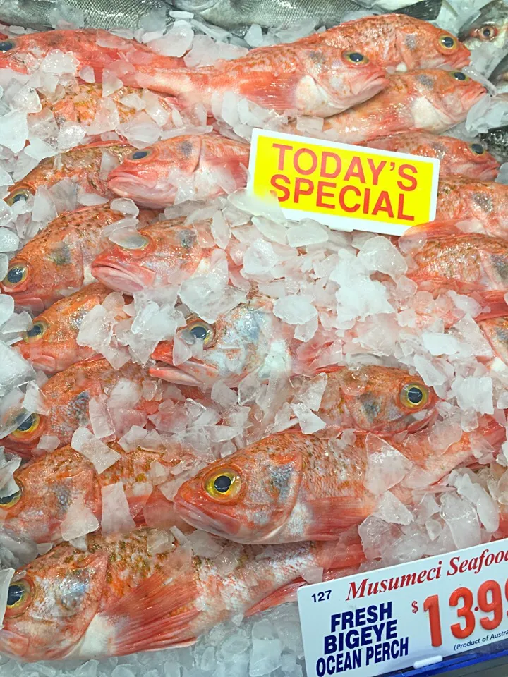 Snapdishの料理写真:Fish market /Sydney|vinayakaさん