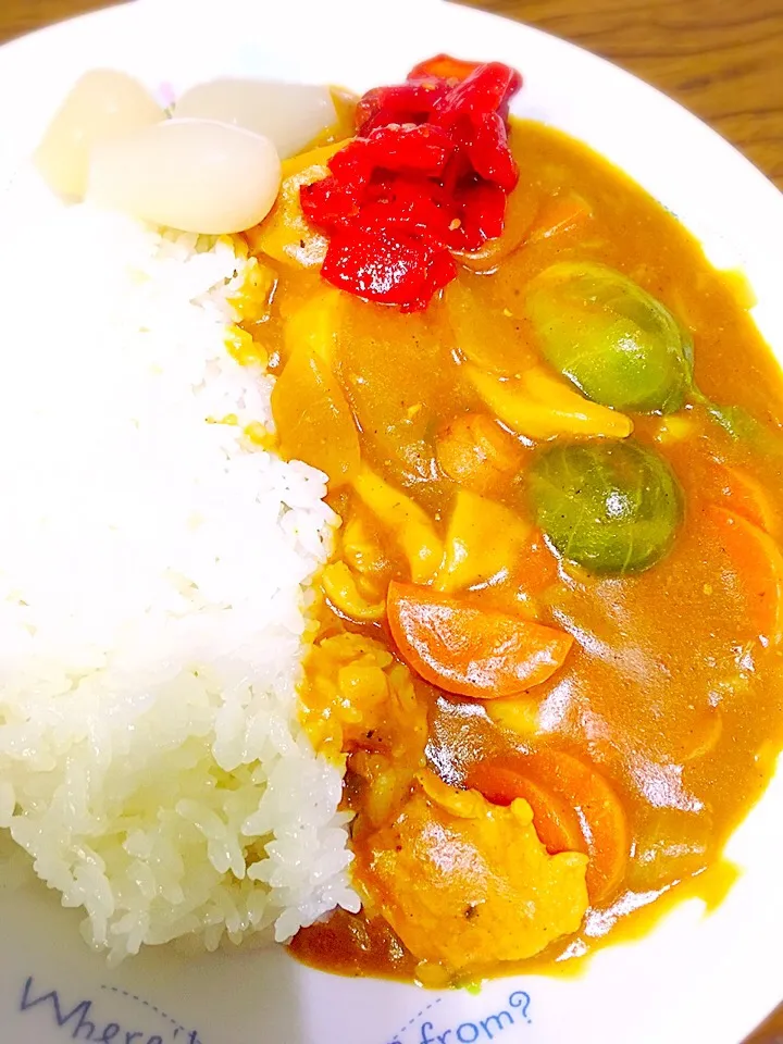 ちゃんとカレーぽく撮り直しました！
芽キャベツカレー🍛|相良幸子さん