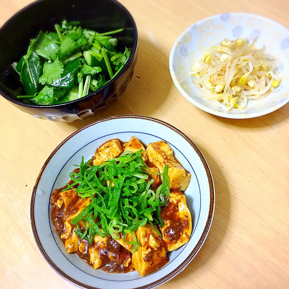 【今日の晩ご飯】麻婆豆腐・胡瓜とパクチーのサラダ・大豆もやしのナムル|たまこっこさん