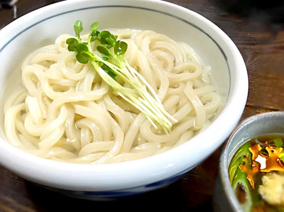 昼あっさりと「釜揚げうどん」
またまた麺だ❗️|muutさん