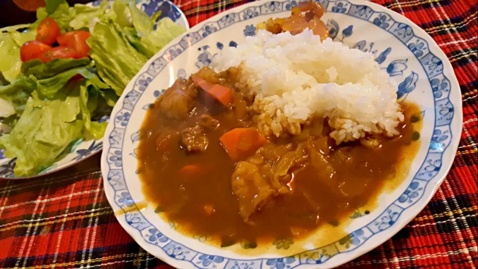 すじカレーとグリーンサラダ。|エリカさん