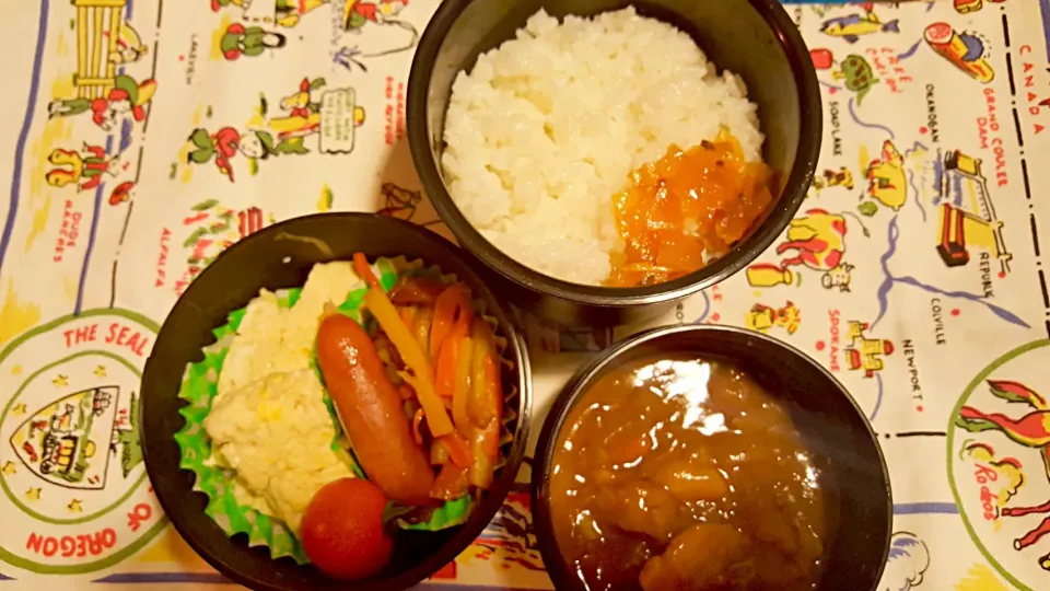 お弁当。野菜きんぴらとだしまきとウインナー。もちろん残りのカレー。|エリカさん