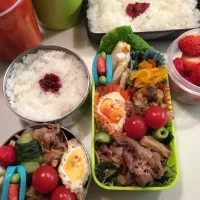 Snapdishの料理写真:今日のお弁当|まなんさん