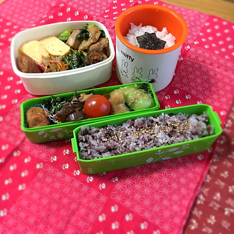 塩麹の焦がし醤油弁当|csigapogiさん