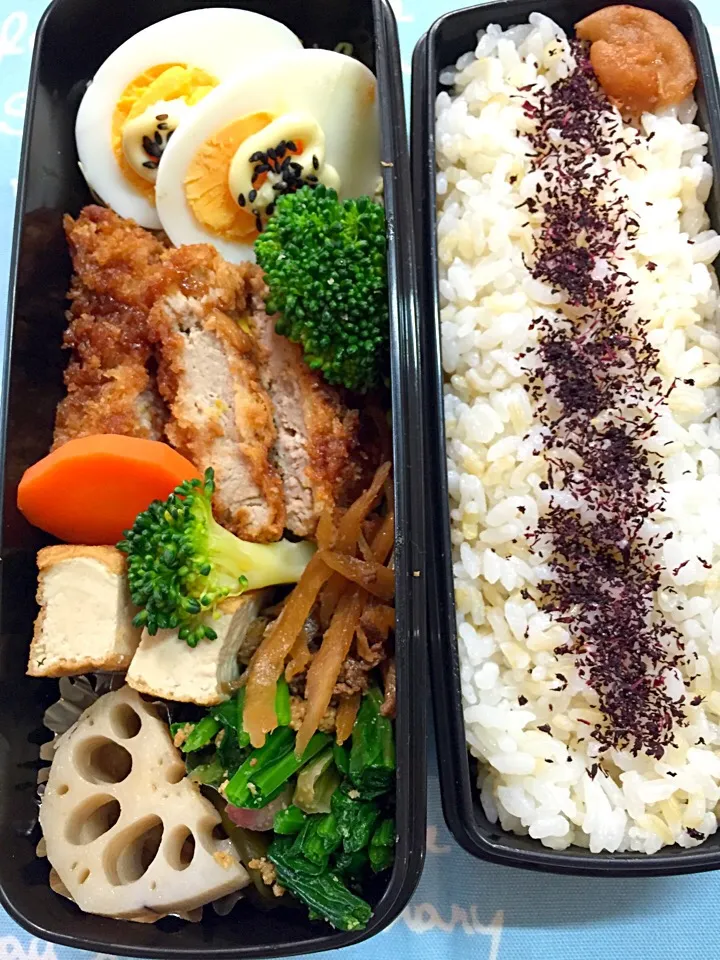 Snapdishの料理写真:今日のお弁当|chiinaさん