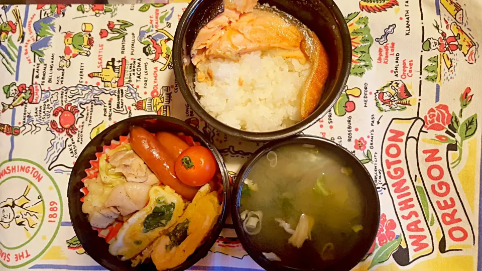 お弁当。鮭とほうれん草卵焼きと塩コショウレモンの鶏キャベツ炒めとウインナーとお味噌汁。|エリカさん