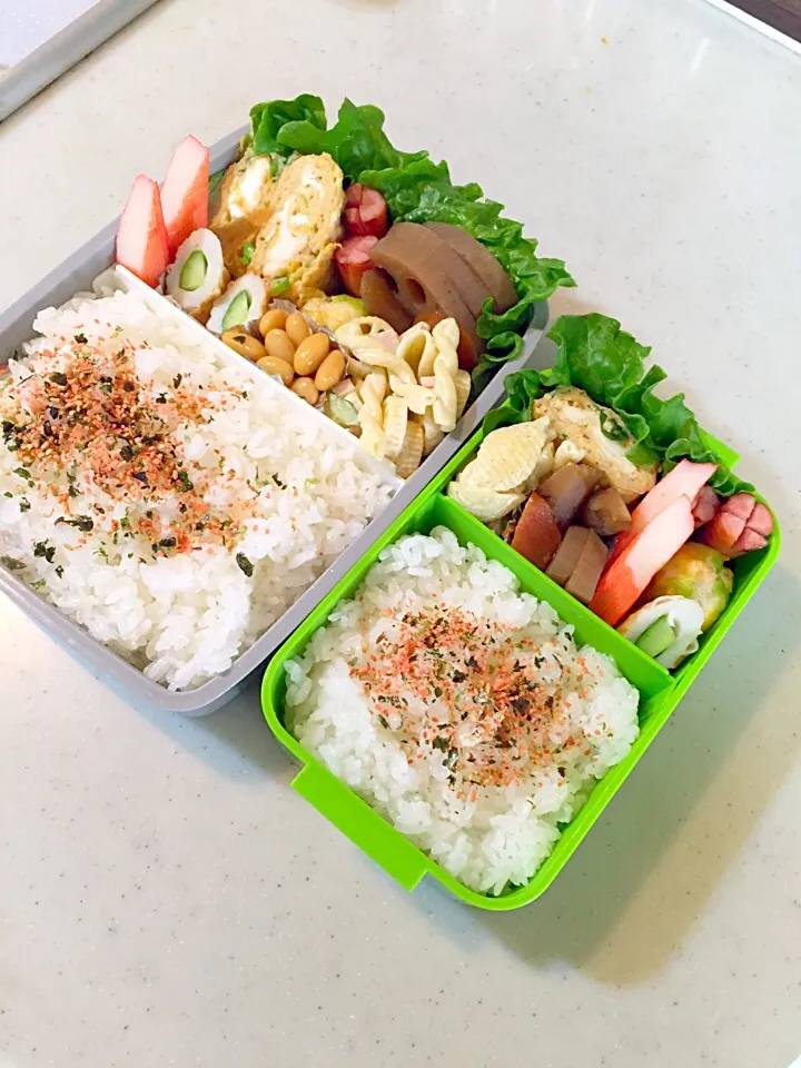 今日のお弁当🍱‼️|Namiさん