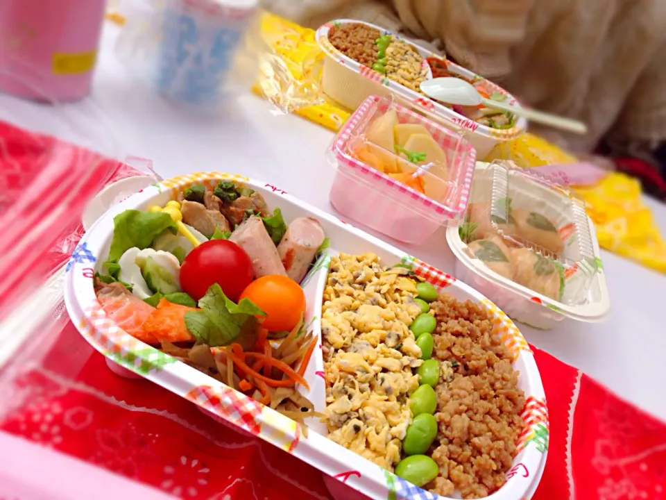 そぼろ弁当♡|ちよこさん