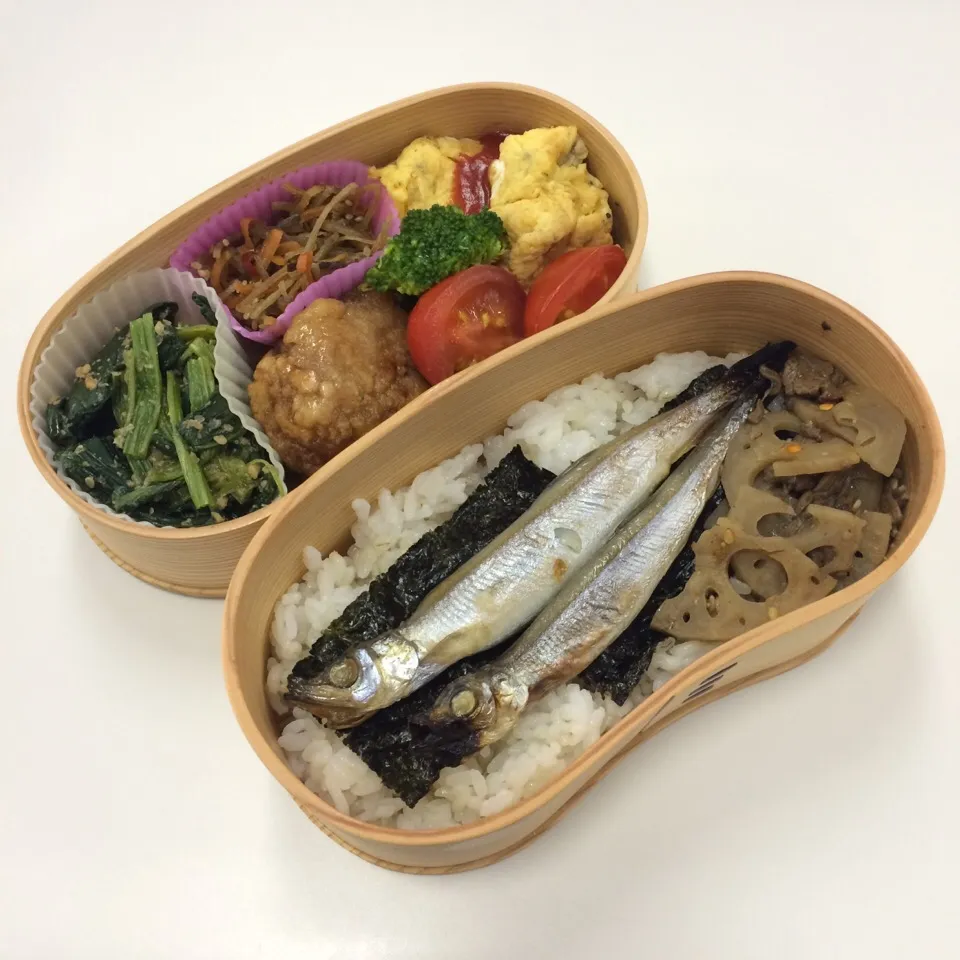 Snapdishの料理写真:弁当（オムレツ、鶏竜田揚げ、ほうれん草胡麻和え、きんぴら、トマト、ブロッコリー、ししゃも、牛肉レンコンきんぴら）|SasaMasa213さん