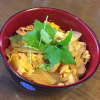 Snapdishの料理写真:親子丼|遥さん