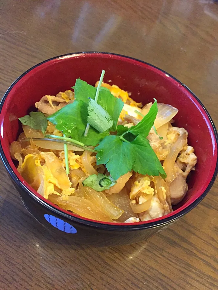 Snapdishの料理写真:親子丼|遥さん