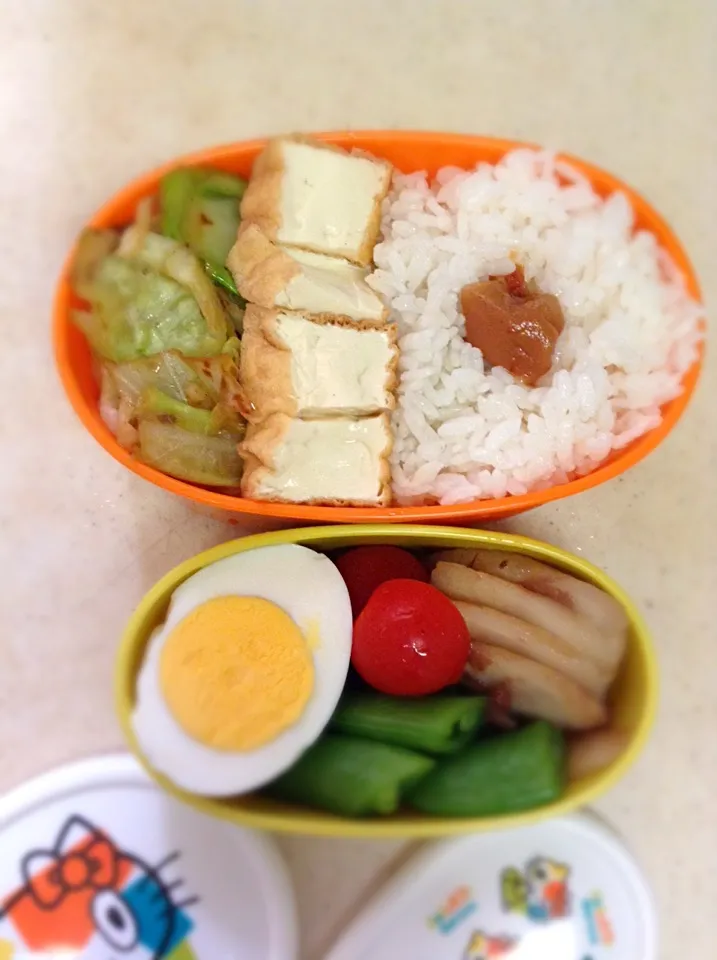 Today’s lunch box. 春キャベツ美味しい♪|hoppycowさん