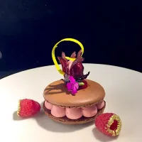 Snapdishの料理写真:big macaron filled with mousse hibiscus flower ,and  raspberries|Yolanda Rodasさん