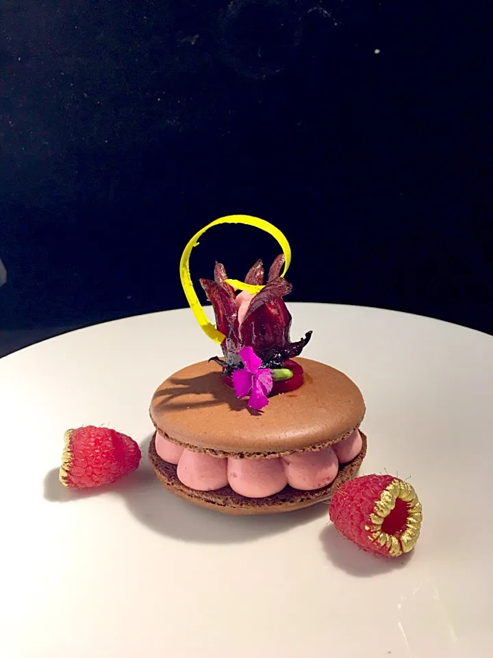 Snapdishの料理写真:big macaron filled with mousse hibiscus flower ,and  raspberries|Yolanda Rodasさん