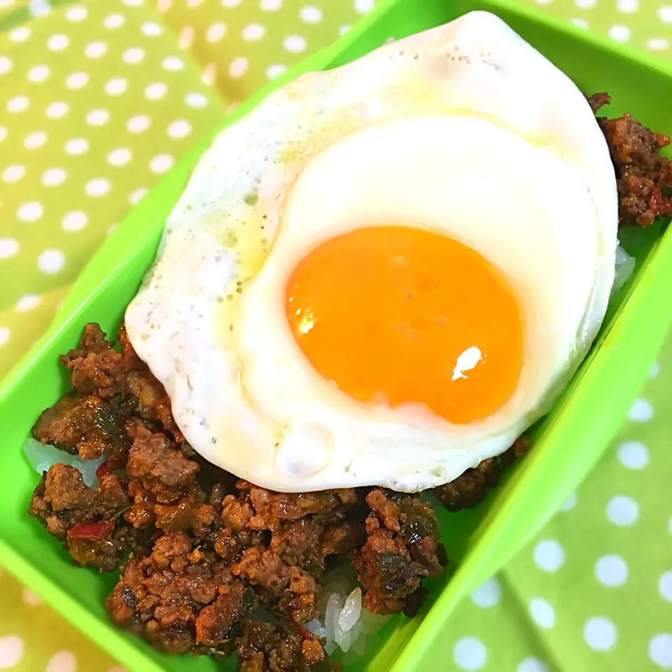 女の子弁当♪|志野さん