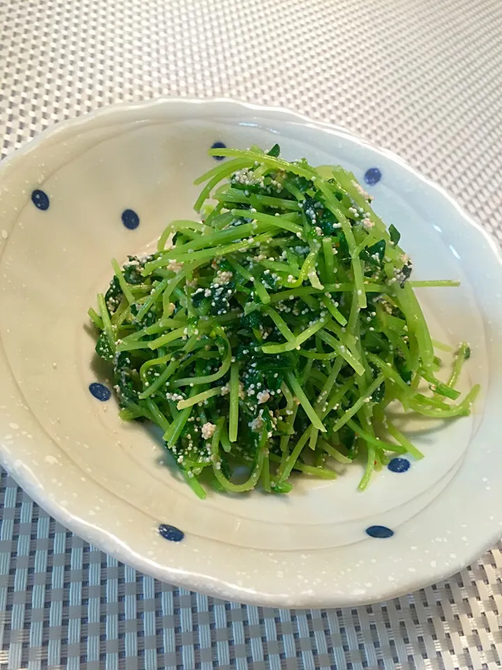 ことり*さんの料理 豆苗の辛子明太子和え*|さちさん