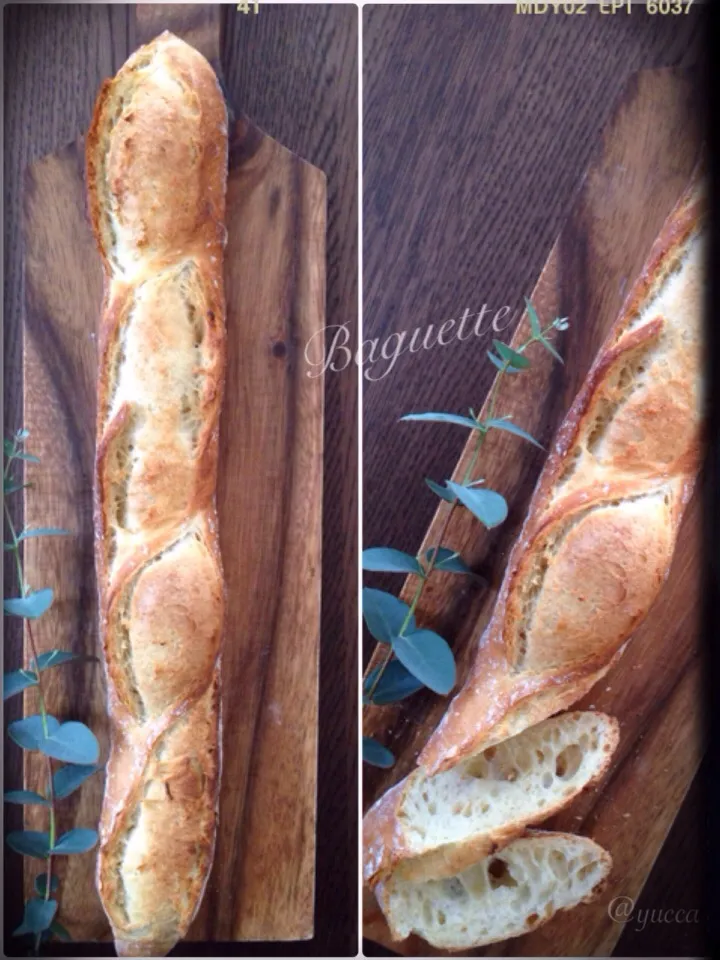 Baguette|yucca@さん